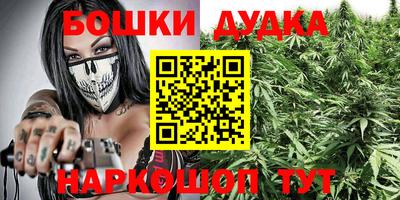 крисы Будённовск