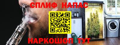 крисы Будённовск