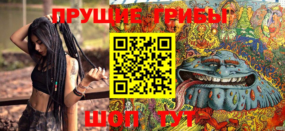 наркотики  Вход с VPN  Среднеуральск  Галлюциногенные грибы Psilocybine cubensis 